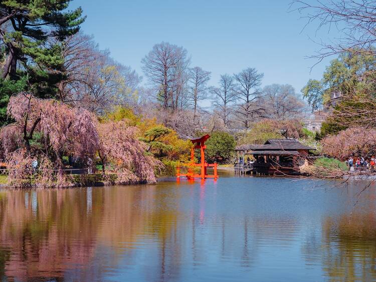 View of the Japanese Garden at Brooklyn Botanic Garden, New York City.