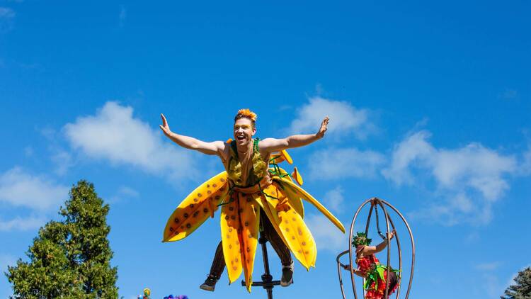 Circus performers in the sky. 