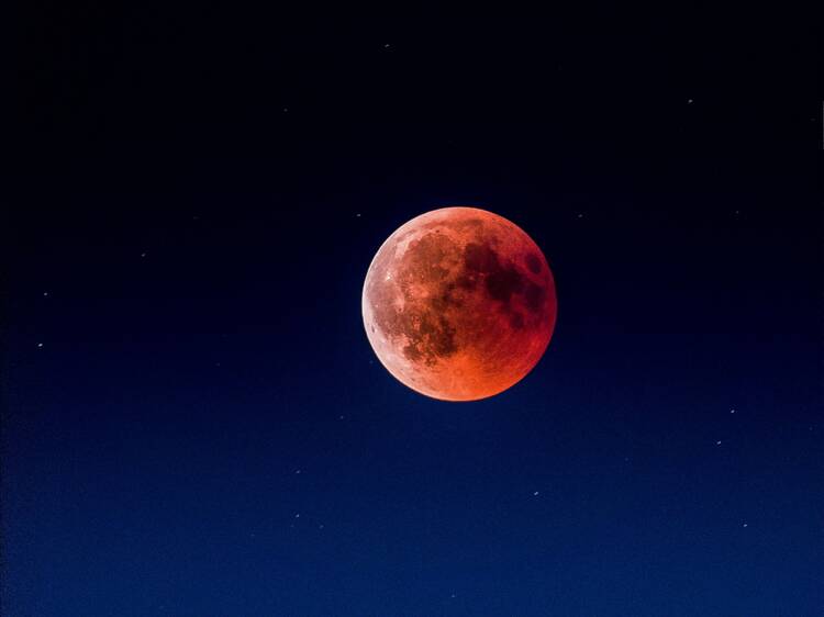 Look up! Melbourne will see a spectacular 'blood moon' partial lunar eclipse this month