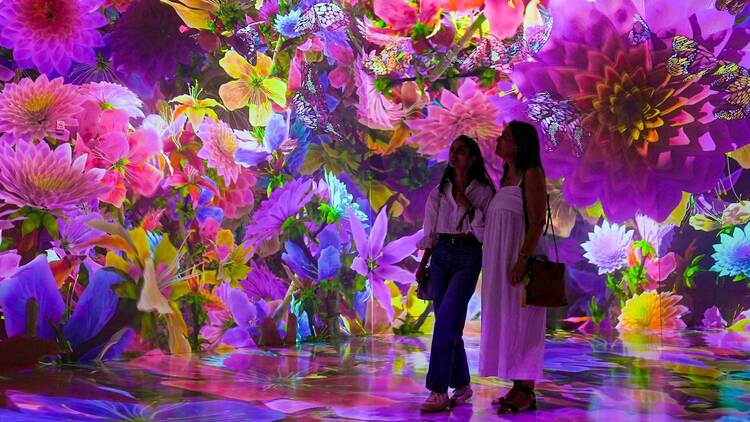 ARTECHOUSE's "Blooming Wonders" exhibition.