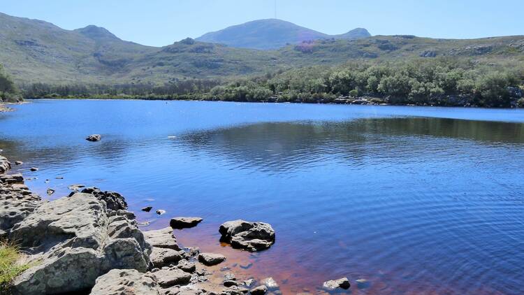 Go 'wild swimming' in Silvermine