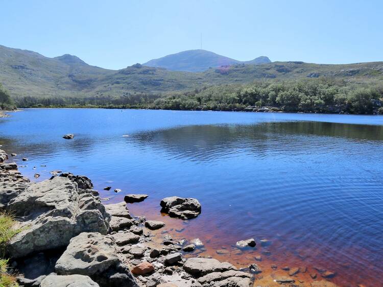 Go 'wild swimming' in Silvermine