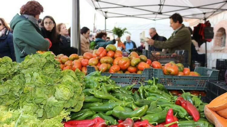 Mercado de Productores de Latina