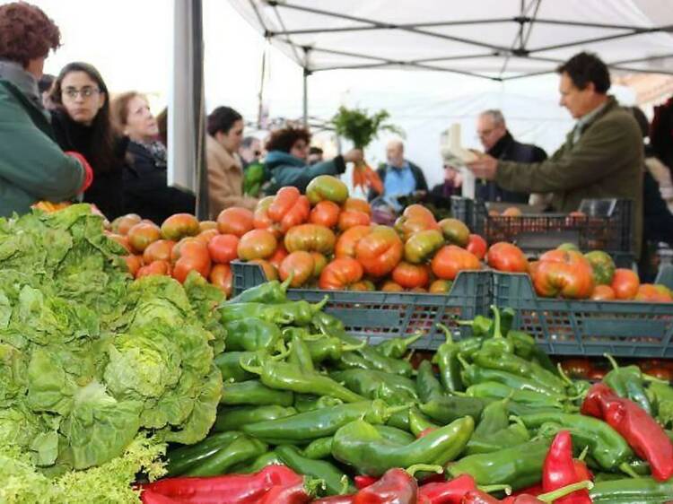 Mercado de Productores de Latina