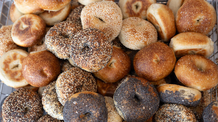 PopUp Bagels