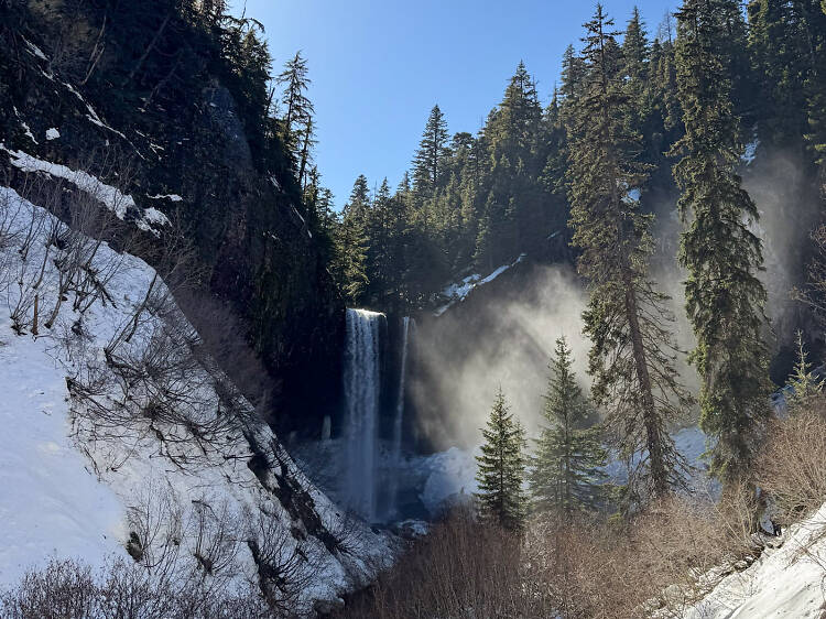 I soaked up winter sunshine snowshoeing on Mount Hood. Here’s how you can too.