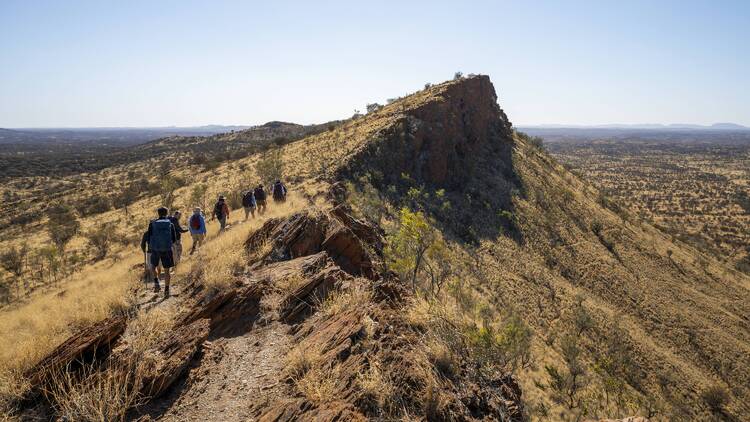 Hike the Larapinta Trail