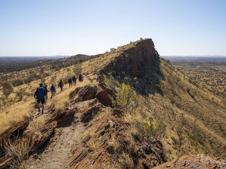 Hike the Larapinta Trail