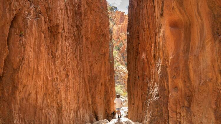 Marvel at the earthly colours of Standley Chasm