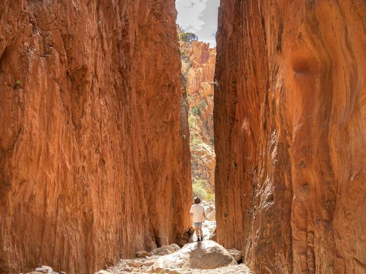 Marvel at the earthly colours of Standley Chasm