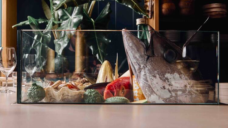 Mister Grotto Seafood bar at Mister Grotto