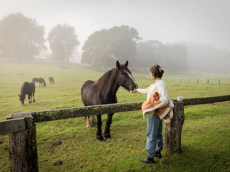 Kangaroo Valley