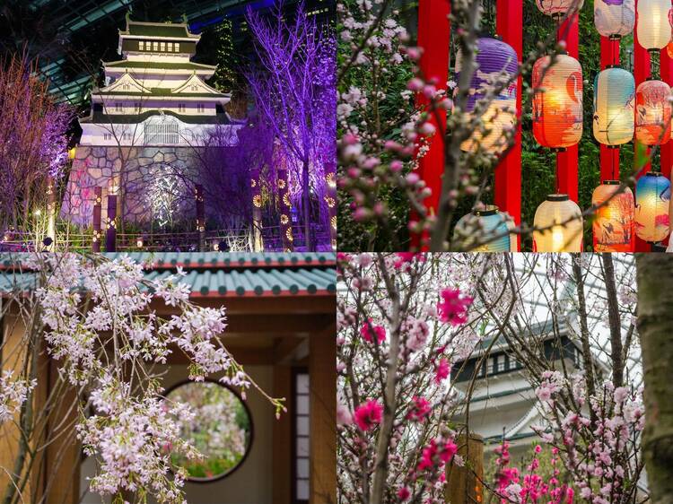 Sakura is now abloom in Singapore at Gardens by the Bay’s annual cherry blossom display