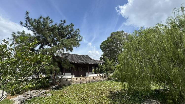 Bonsai Garden