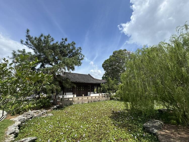 Bonsai Garden