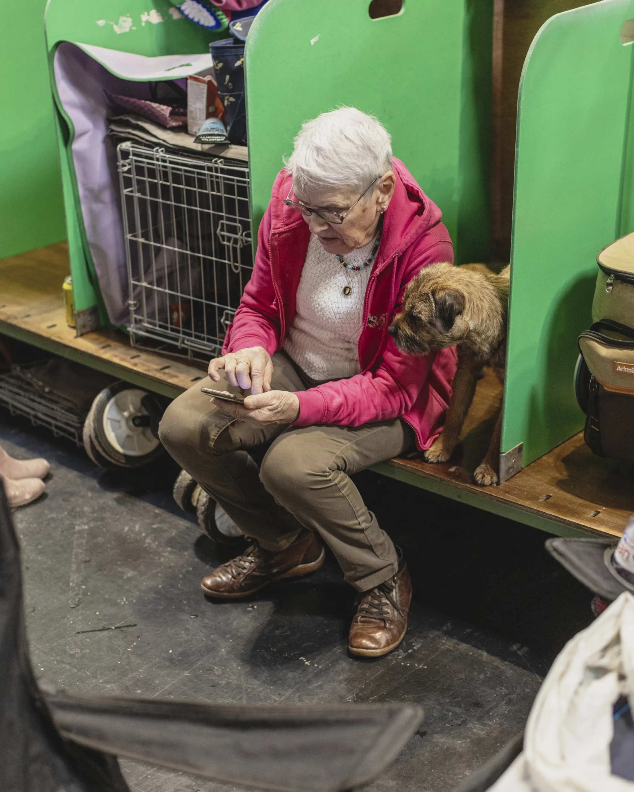 A dog and owner at crufts