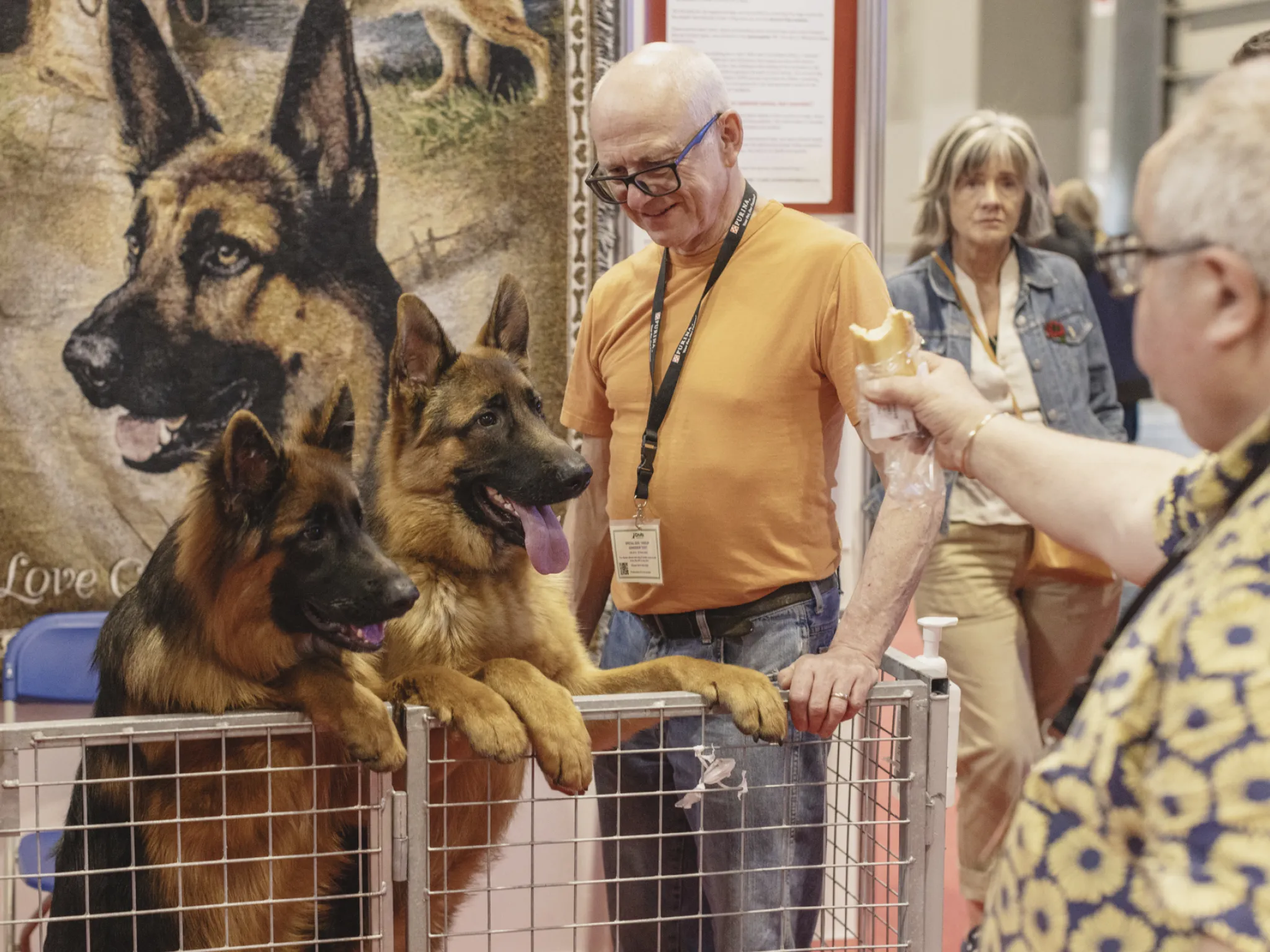A dog and owner at crufts