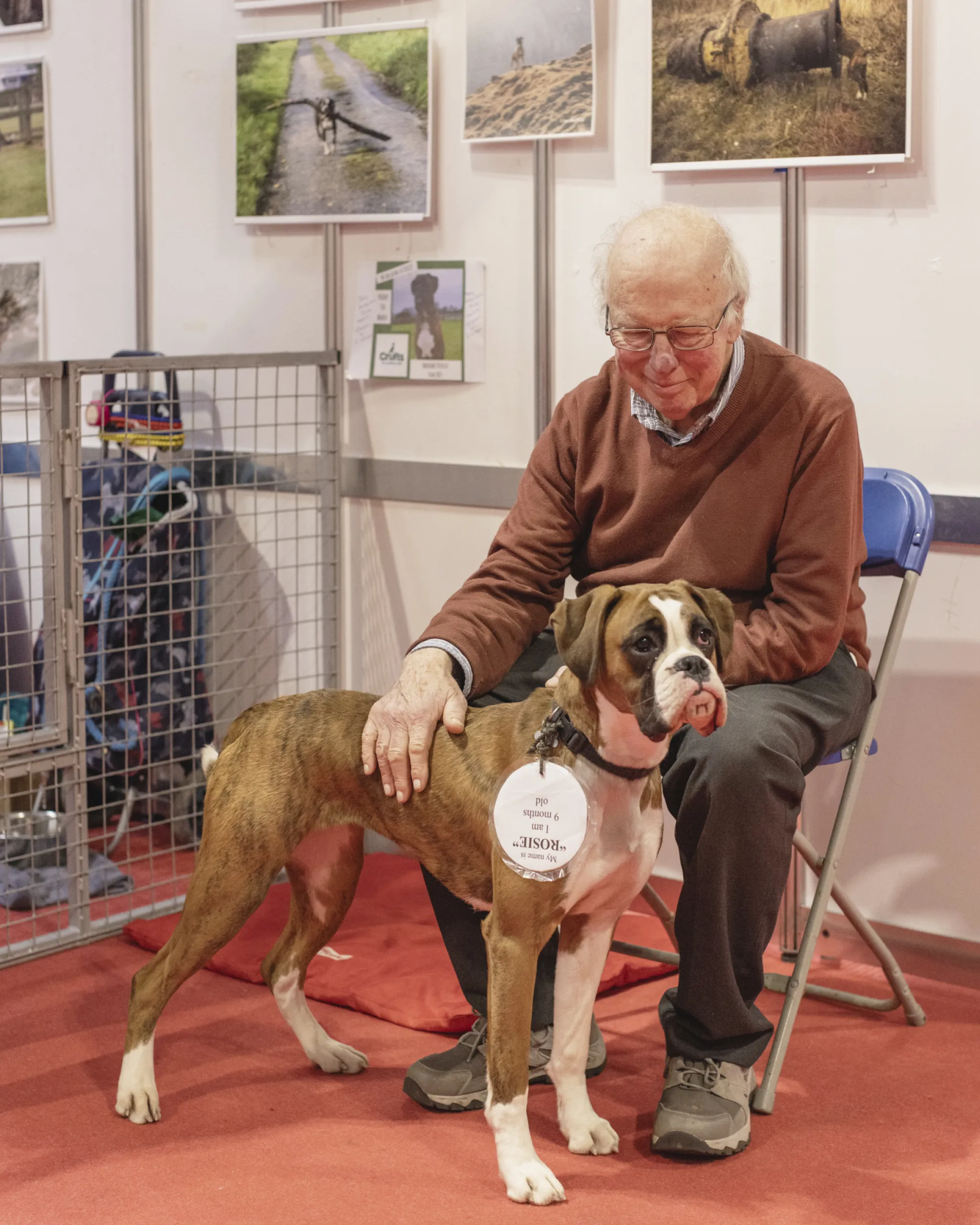 A dog and owner at crufts