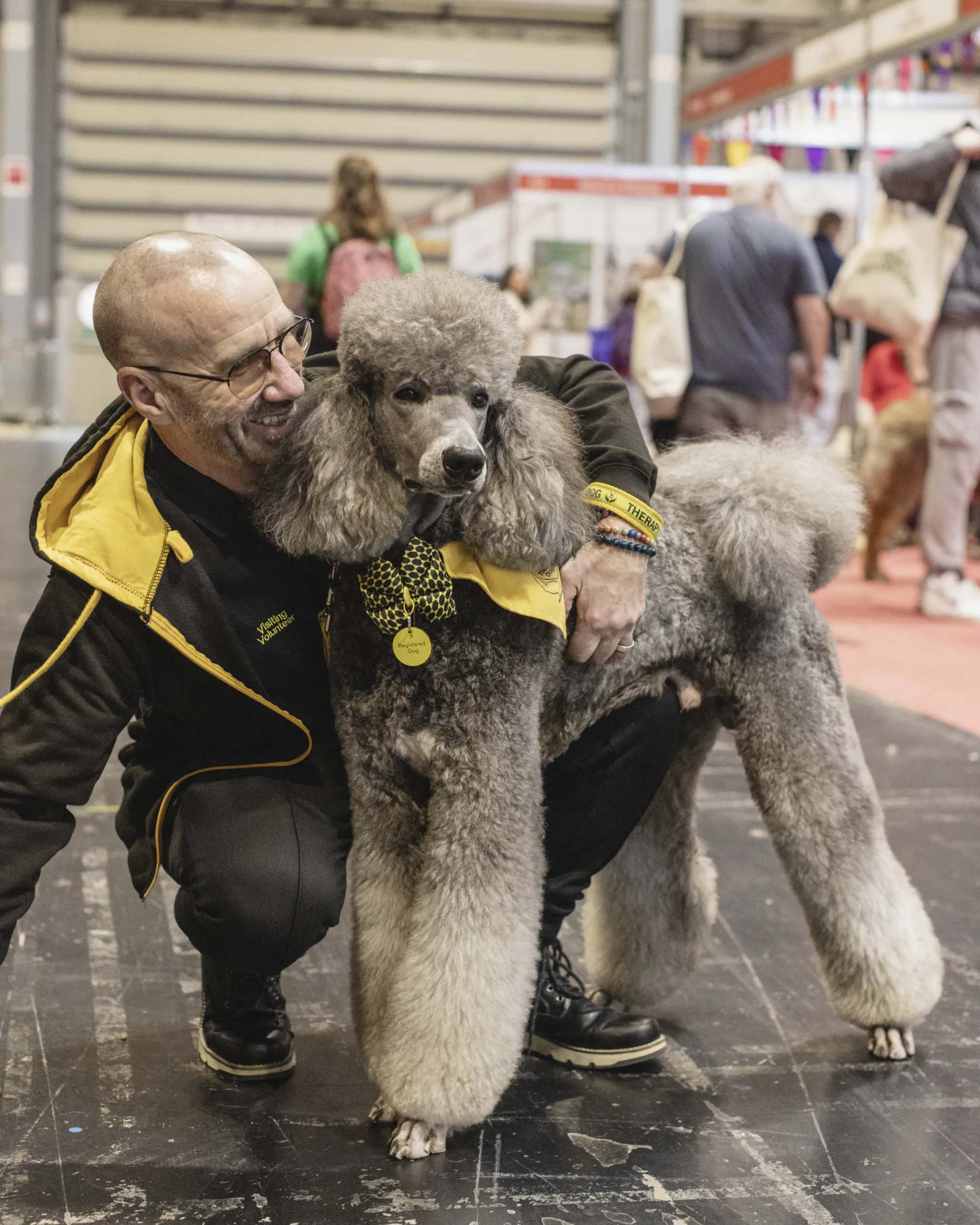 A dog and owner at crufts