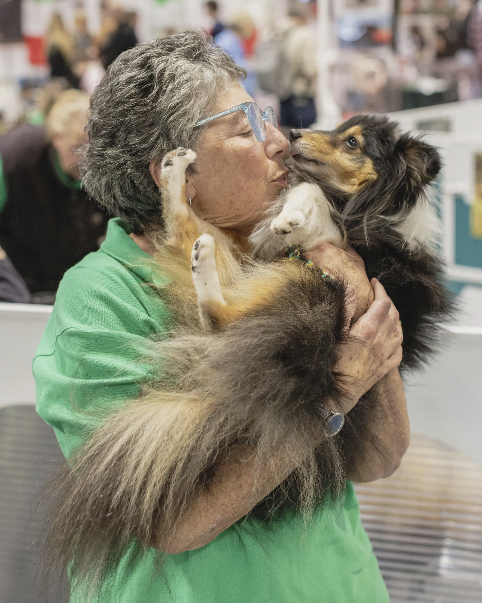 A dog and owner at crufts