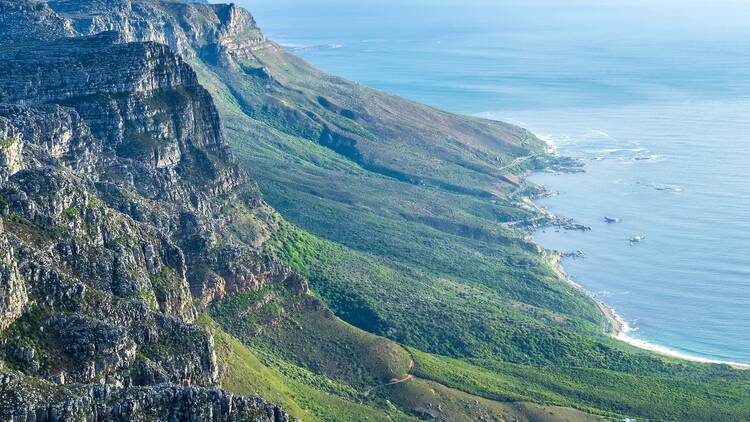 The Pipe Track, Table Mountain