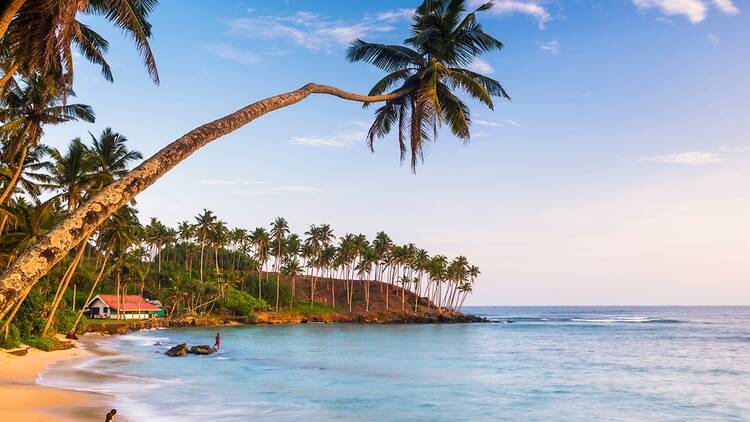 Mirissa beach, Sri Lanka