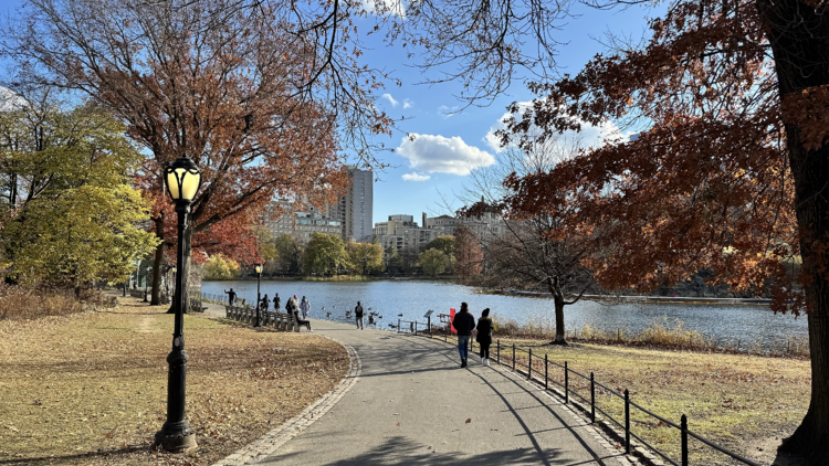 Central Park loop