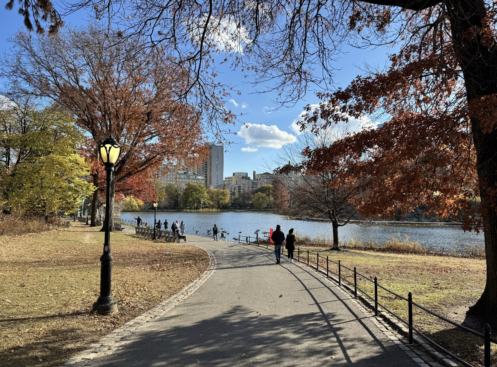Central Park's six-mile loop is about to undergo a major redesign