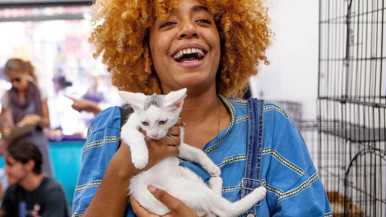 a person holding a kitten