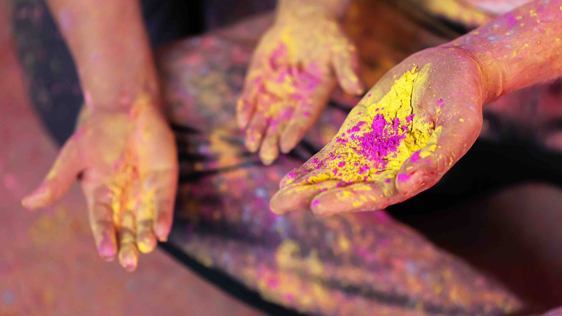 holi colour festival melbourne