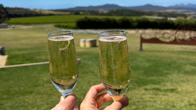 Glasses of sparkling at Devil's Corner