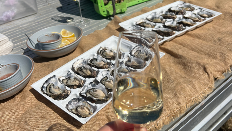 Oysters and bubbles at Devil's Corner