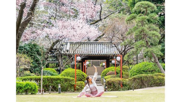 高輪 桜まつり