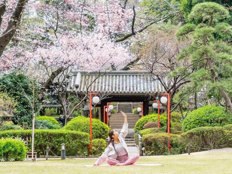 高輪 桜まつり