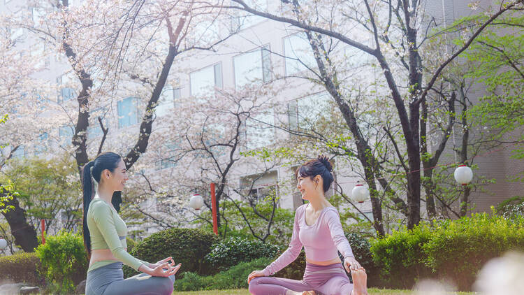 Takanawa Sakura Festival