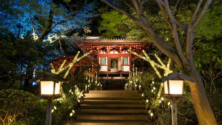 Takanawa Sakura Festival