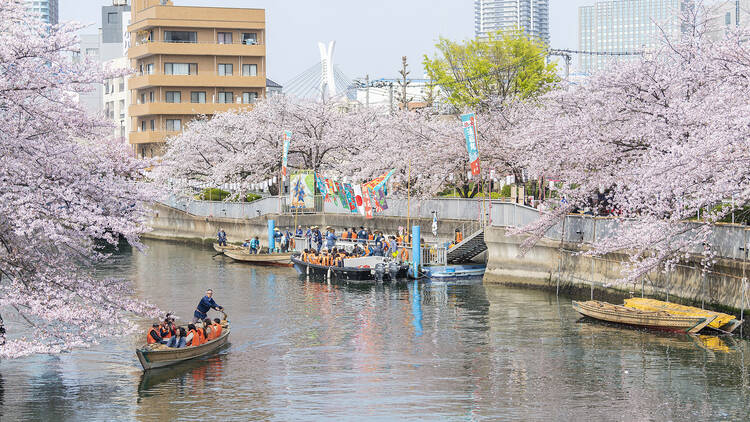 お江戸深川さくらまつり