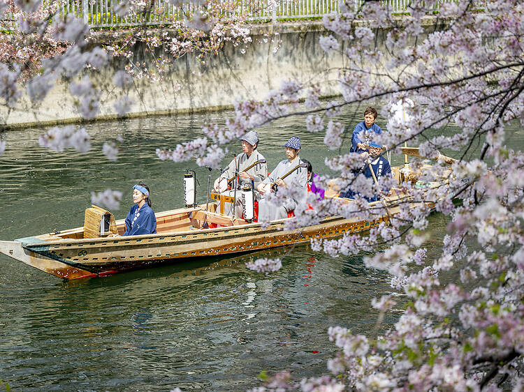 お江戸深川さくらまつり お江戸深川さくらまつり