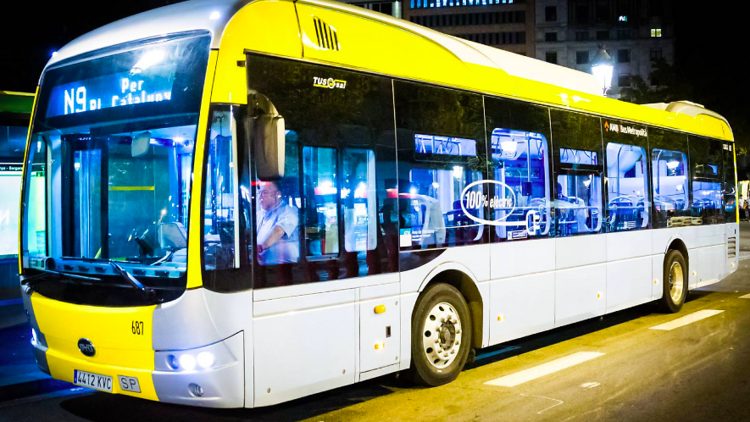 nitbus, autobús