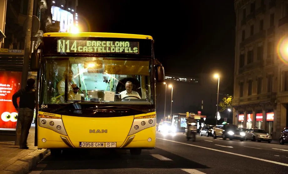 nitbus, autobús