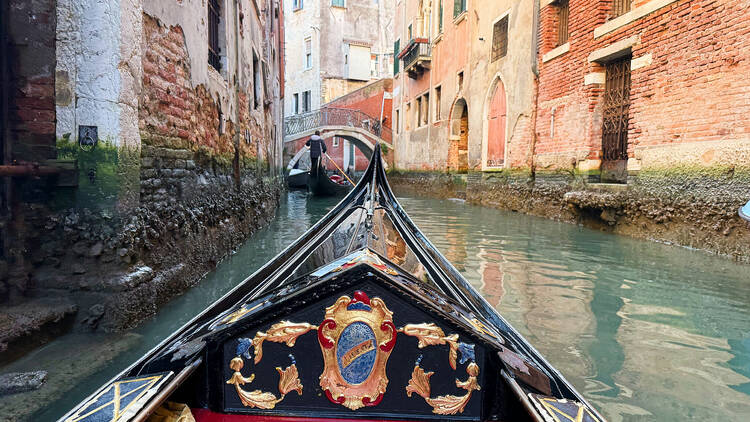 Gondola rides