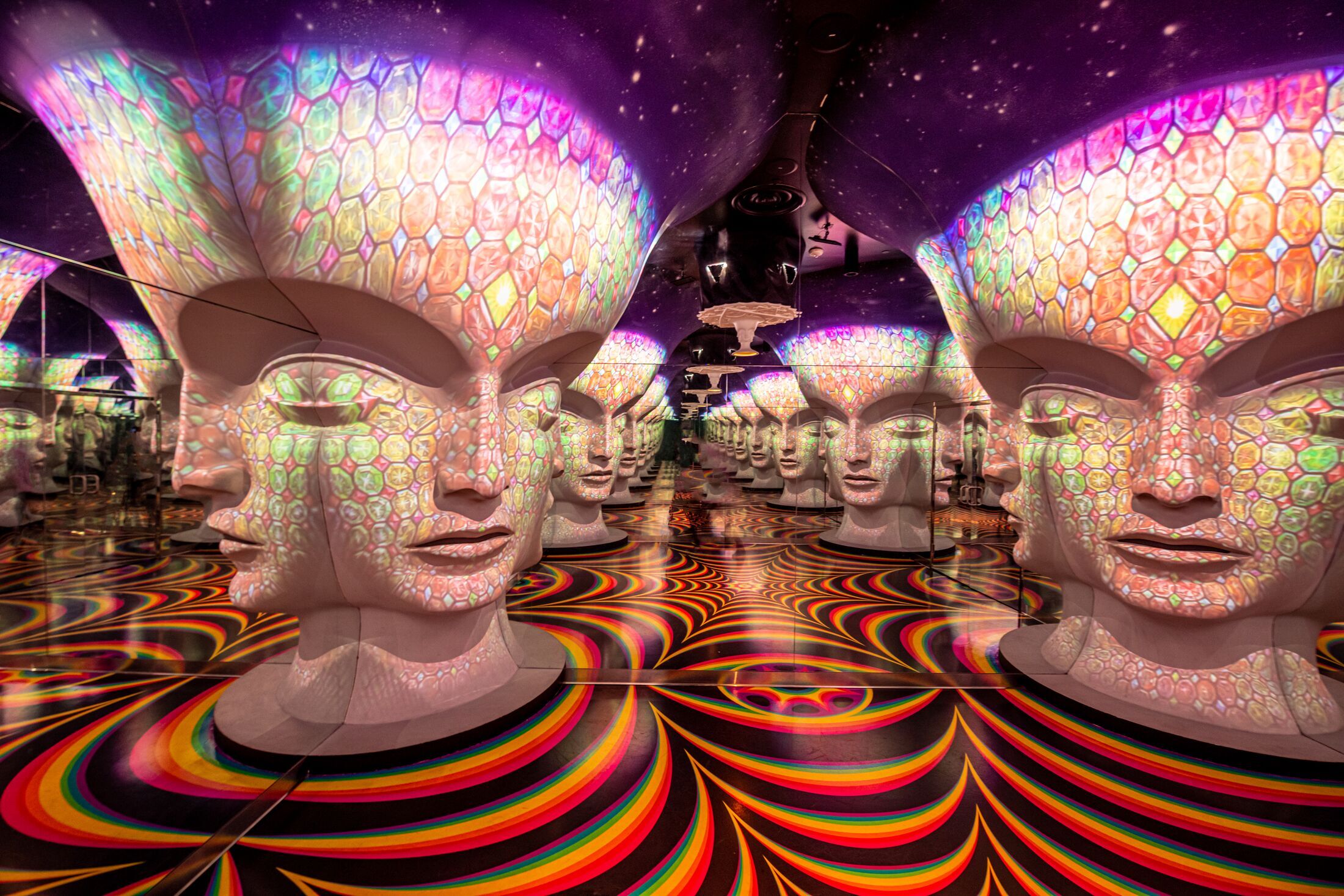 Meow Wolf