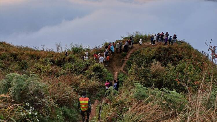 Catch the sea of fog at Phu Chi Fa