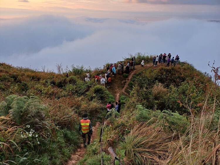 Catch the sea of fog at Phu Chi Fa