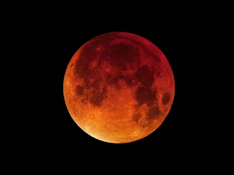 Watch Montreal's moon turn blood red during the lunar eclipse