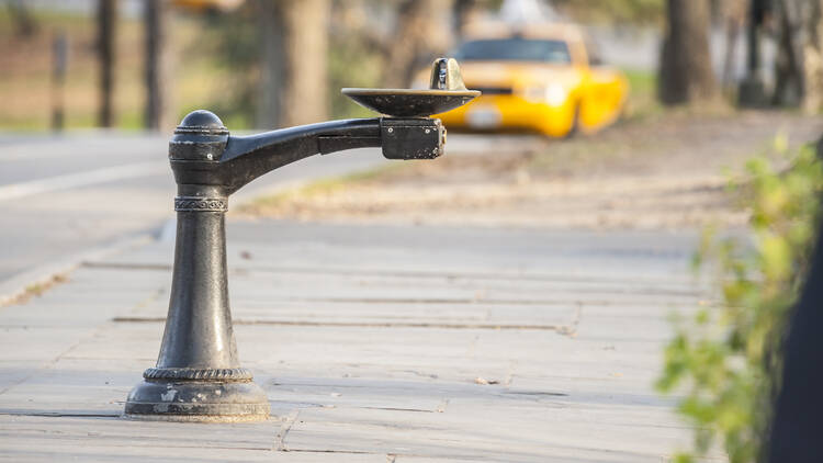 Tap water in NYC