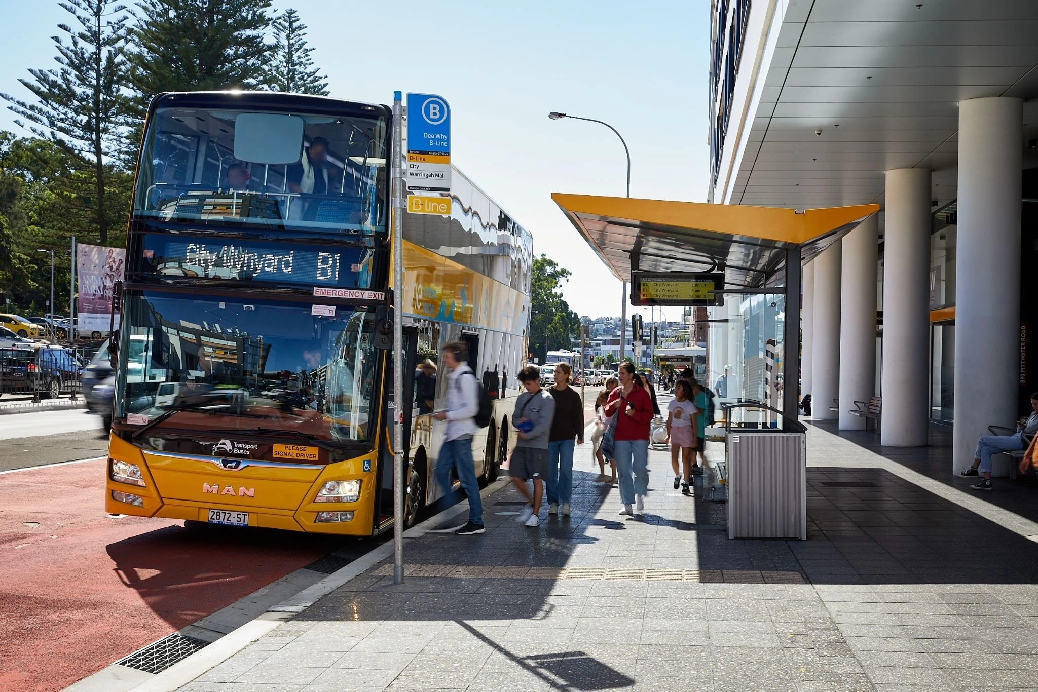 B-Line stop - Manly Vale rapid bus