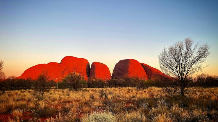 Uluru-Kata Tjuta National Park, NT