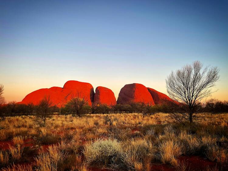 Uluru-Kata Tjuta National Park, NT