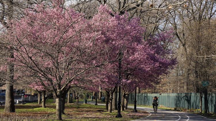 Harlem River Greenway